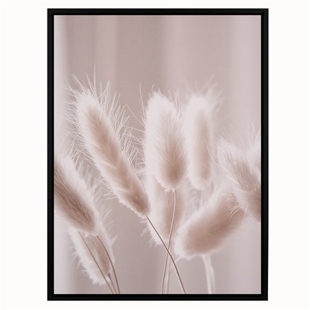 Poster 30x40 Nature Dry Grass