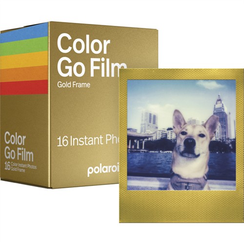 Polaroid Go Färgfilm Guld Double Pack