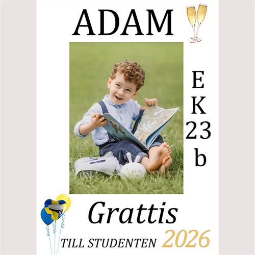 Stu3 Studentplakat 50x70 cm