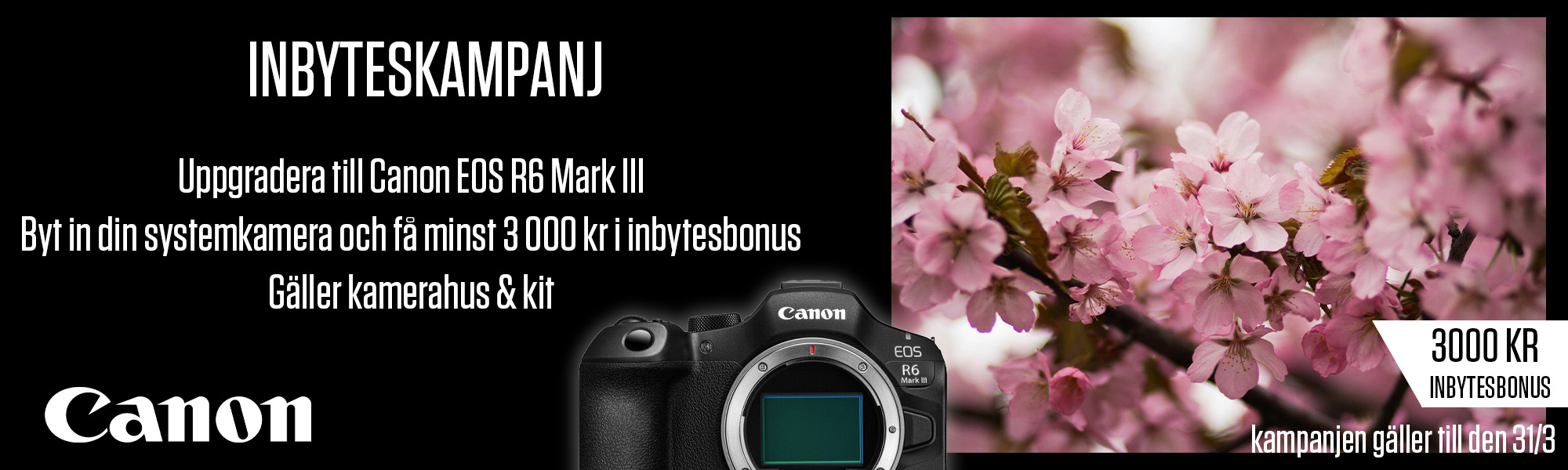 Annons:KR6III canon_inbyte_r6iii_mars_banner.jpg