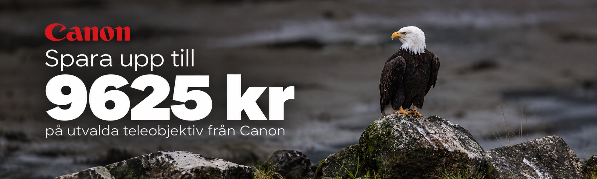 Annons:CANTEL canon_tele_deals.jpg