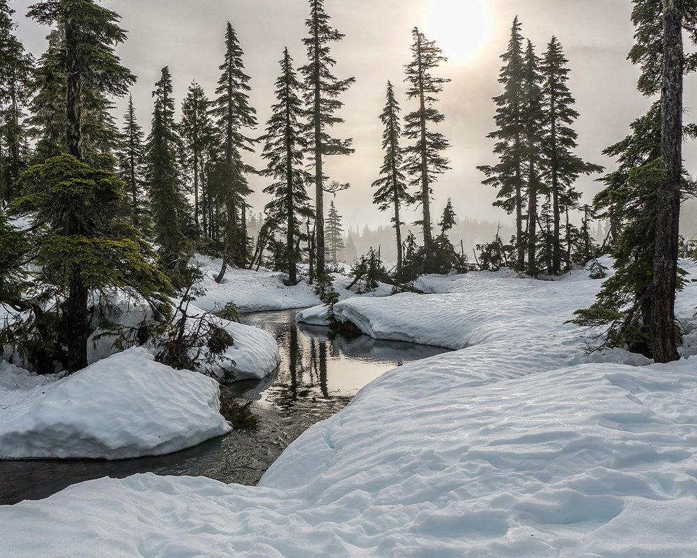 Annons:1 blackbox.jpg